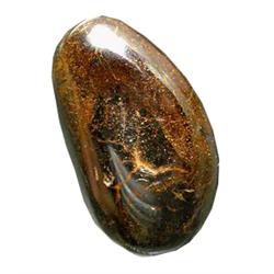 18.76ct Fancy Cabochon Multicolor 100%Natural Boulder Opal (GEM-16644)