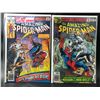 Image 1 : THE  AMAZING SPIDER-MAN #184 AND #190   (MARVEL COMICS)