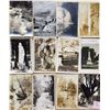 Image 5 : USA Real Photo Postcard Lot Approx. 275 Cards