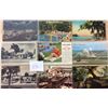 Image 8 : Florida Approx. 1000 Cards