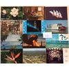 Image 2 : Misc. Topic Box 400+ Cards