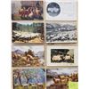 Image 2 : Sheep - Animal Album 90+ Cards
