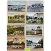 Image 8 : Sheep - Animal Album 90+ Cards