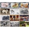 Image 8 : Animals Approx. 400 Cards