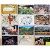 Image 1 : Lilly of the Valley Flower Postcards 220+