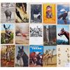 Image 8 : Animals 350+ Cards