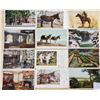 Image 8 : Detriot Publishing USA Views 200+ Cards
