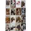 Image 2 : Dogs - Animals Album 60+ Cards