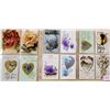 Image 8 : Holiday Greetings Album 180+ Cards