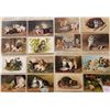 Image 1 : Cats Anmial Album 40+ Cards