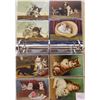 Image 2 : Cats Anmial Album 40+ Cards