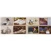 Image 8 : Pretty Ladies Album 120+ Cards