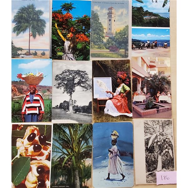 Caribbean Approx. 200 Cards