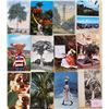 Image 1 : Caribbean Approx. 200 Cards