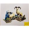 Image 2 : 5 Wildlife Prints by Sweney
