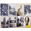 Image 3 : Real Photo Florida Postcards Approx. 85