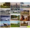 Image 1 : Sheep _ Animals 325+ Cards