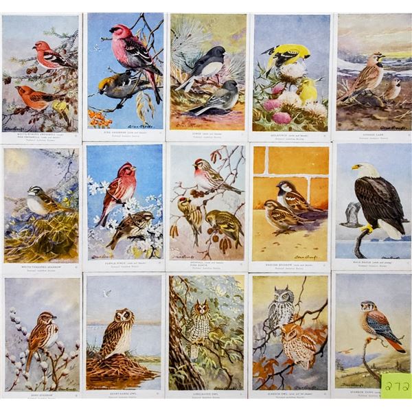 2 Groups of 50 National Audubon Soc. Birds Set Cards