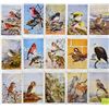 Image 1 : 2 Groups of 50 National Audubon Soc. Birds Set Cards