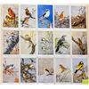 Image 2 : 2 Groups of 50 National Audubon Soc. Birds Set Cards