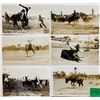 Image 1 : Real Photo Cowboy Rodeo Postcards 19