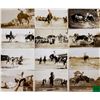 Image 2 : Real Photo Cowboy Rodeo Postcards 19