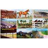Image 2 : Horse Racing Sports Approx. 120 Cards