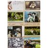 Image 11 : Romance - Lovers Greeting Album 200+ Cards