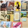 Image 14 : Topic Box Approx. 400 Cards