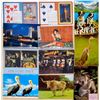Image 8 : Box Lot Sorted Subjects 750+ Postcards