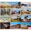 Image 2 : Florida 140 Postcards