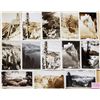 Image 1 : Crater Lake National Park Oregon Photo Postcards 90