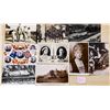 Image 2 : Royalty 55+ Postcards