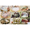 Image 1 : Shellborder Views & Greetings 25+ Postcards
