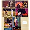 Image 1 : Set of 6 Red Cross Skeleton Assassination Miss Cavell by Corbella Set