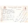Image 2 : 3 Louis Wain Cat Tuck Postcards