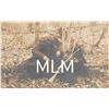 Image 1 : Real Photo Man Hunting & Bear Postcard