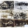 Image 1 : Real Photo Exaggeration Postcards 14