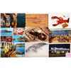 Image 1 : Lobsters Approx. 200 Cards