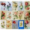 Image 2 : 2 Albums Flowers Signed by Klein Greeting Postcards 175+