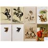 Image 2 : Animals Signed Artist - Dressed Greeting Album 40+