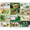 Image 2 : St. Patricks Day Holiday Greeting Postcards 40+