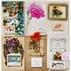 Image 2 : Novelty 13 Calendar Attachment Postcards