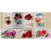 Image 3 : Novelty Velvet Attachment Postcards 75+