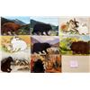 Image 2 : Novelty Fur Attached Animals 15 Postcards