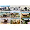 Image 1 : Novelty Wire Tail Animal 20 Postcards