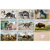 Image 2 : Novelty Wire Tail Animal 20 Postcards