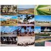 Image 2 : Florida 600+ Postcards