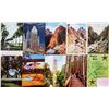 Image 8 : Florida 600+ Postcards