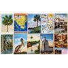Image 11 : Florida Approx. 400 Postcards